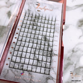 C CURL 0.07mm SINGLE LENGTH Pro-made 6D Volume Fans Lash Tray - Lashpire